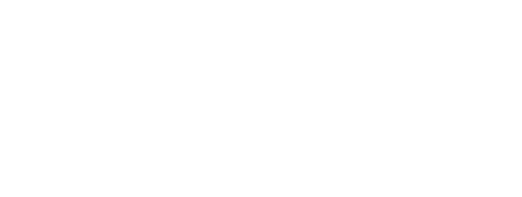 Pioneer 1031 Logo